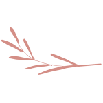 forme-FSH-03-300x300px