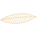 forme-FSH-04-300x300px - horizontal