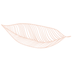 forme-FSH-05-300x300px - horizontal