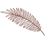 forme-FSH-07-300x300px