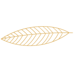 forme-FSH-04-300x300px - horizontal