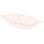 forme-FSH-05-300x300px - horizontal